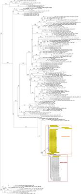 Epitope Peptide-Based Predication and Other Functional Regions of Antigenic F and HN Proteins of Waterfowl and Poultry Avian Avulavirus Serotype-1 Isolates From Uganda